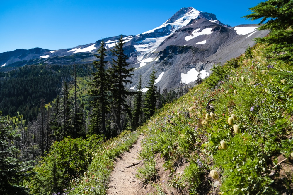 Mt hood sales hiking trails