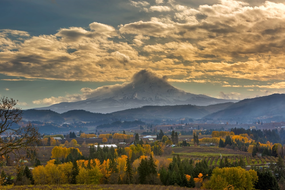 Fall in Oregon