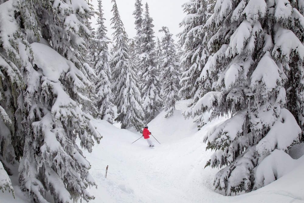 Best Skiing In Oregon on Mount hood, lone skier dressed in red 