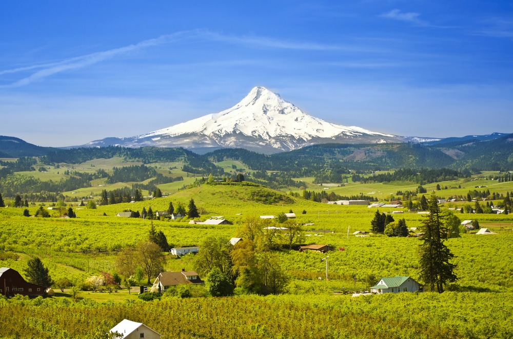 Things to do in Hood River, photo of the majestic Mount Hood in Oregon